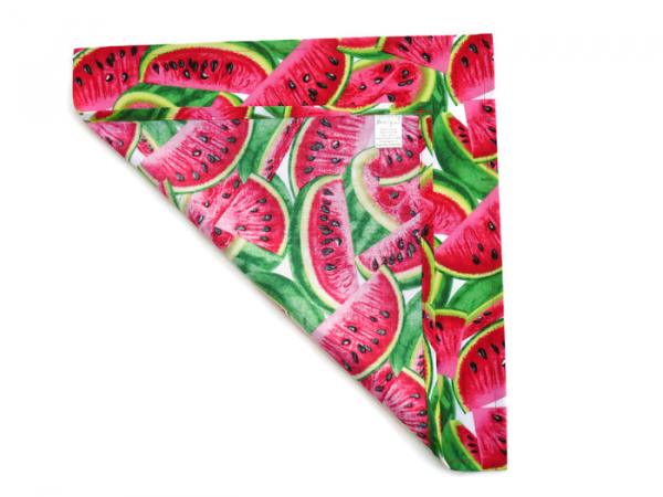 Watermelon Cloth Napkins reverse side